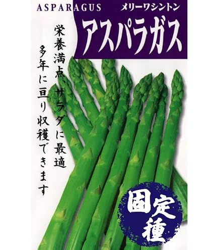 Amazon.co.jp: アスパラガス 種 【 メリーワシントン500W 】 種子 小袋